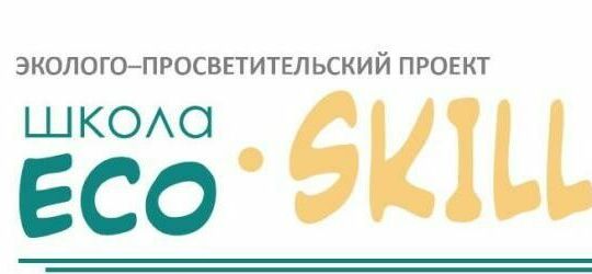 эко skills