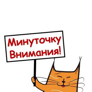 EDHqk1FXYAAcFHR-1___
